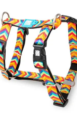 H-Harness - Summertime Lage Prijs